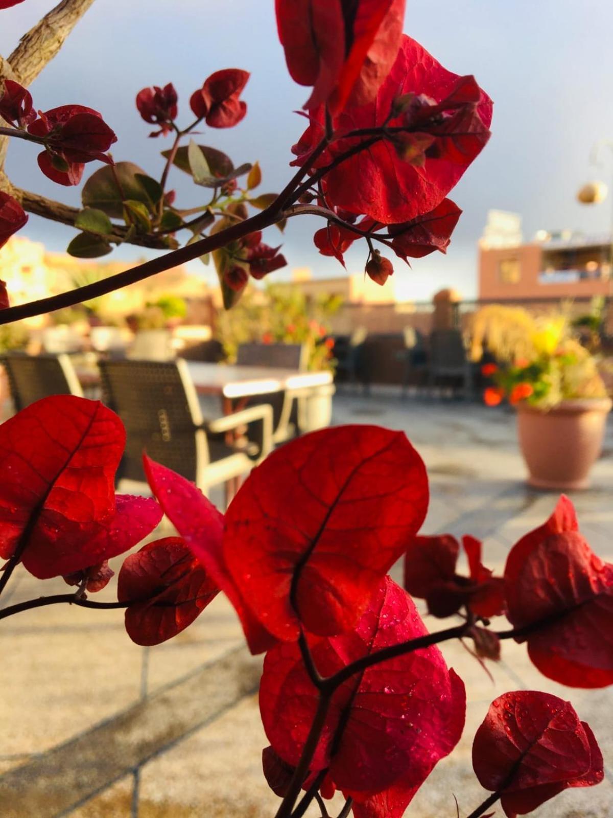 Hotel Riad Atlas Dades Boumalne Εξωτερικό φωτογραφία